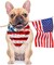 Patriotic Bandanas American Flag Bandana July 4th Headband Memorial Day Decorations Bandana for Women Men